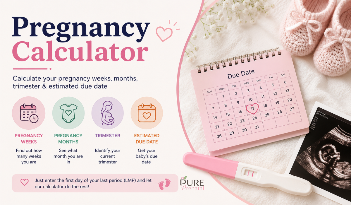 Pregnancy Calculator
