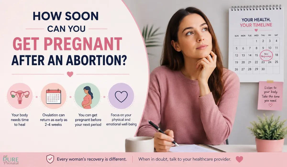How soon can you get pregnant after an abortion, showing fertility and ovulation timeline