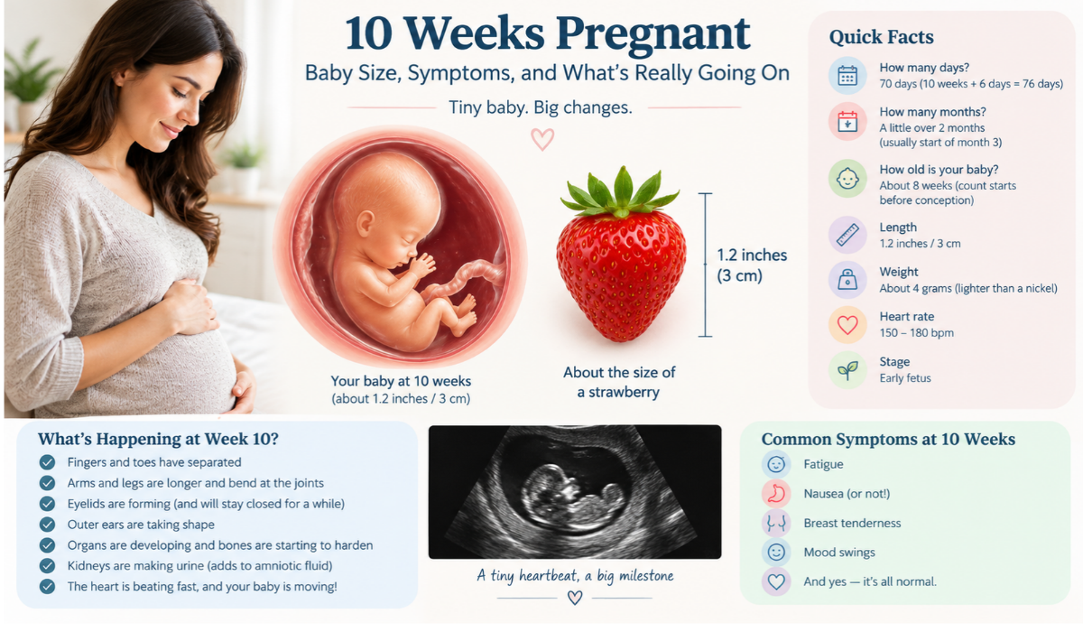 10 Weeks Pregnant